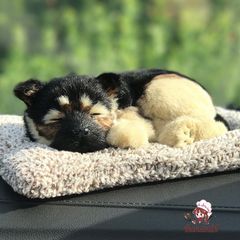 Chó Trắng Bông Thú Nuôi Đôi 99% Giống Thật - Lõi Than Hoạt Tính Khử Mùi, Tô Điểm Xe, Âm Thanh Mô Phỏng Như Thật