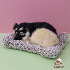 Thú Bông Chó Mèo Than Hoạt Tính - Đồ Trang Trí Xe Ô Tô & Bàn Làm Việc Dễ Thương, Khử Mùi, Giữ Không Khí Trong Lành