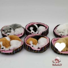 Chó Mèo Bông Khử Mùi Than Hoạt Tính - Đồ Trang Trí Phòng, Ô Tô, Bàn Làm Việc Đáng Yêu, Có Tiếng Kêu, Nhiều Kích Thước