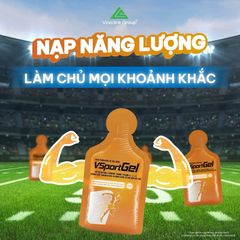 Gel Bổ Sung Năng Lượng VSportGel - Đột Phá Phong Độ Thể Thao, Hỗ Trợ Phục Hồi & Tăng Cường Sức Bền, L-Carnitine & Vitamin Nhóm B