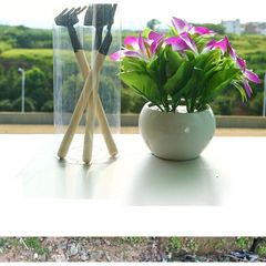 Bộ Dụng Cụ Làm Vườn Mini 3 Món Tiện Dụng - Xẻng, Cấy Xới Đất Cho Cây Cảnh & Bonsai, Dễ Sử Dụng, Chất Liệu Bền đẹp