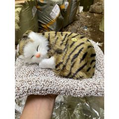 Gấu Bông Mèo Vằn Vàng Đen Nâu 99% Lõi Than Hoạt Tính Khử Mùi Ô Tô - Đồ Trang Trí Phụ Kiện Xe Hơi Dễ Thương, An Toàn Cho Trẻ Nhỏ
