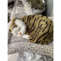 Gấu Bông Mèo Vằn Vàng Đen Nâu 99% Lõi Than Hoạt Tính Khử Mùi Ô Tô - Đồ Trang Trí Phụ Kiện Xe Hơi Dễ Thương, An Toàn Cho Trẻ Nhỏ