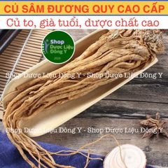 Đương Quy Củ 100g - Thực Phẩm Khô Tự Nhiên Hỗ Trợ Cường Huyết, Giảm Đau Kinh Nguyệt, Tăng Cường Sức Khỏe Phụ Nữ