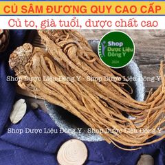 Đương Quy Củ 100g - Thực Phẩm Khô Tự Nhiên Hỗ Trợ Cường Huyết, Giảm Đau Kinh Nguyệt, Tăng Cường Sức Khỏe Phụ Nữ