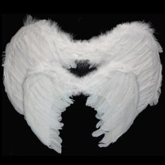 Cánh Thiên Thần Hóa Trang Trắng Đen - Phụ Kiện Cosplay Tiệc Tùng Cho Trẻ Em và Người Lớn, Chất Liệu Lông Vũ Mềm Mại