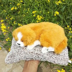 Cún/Mèo Bông Lõi Than Hoạt Tính Khử Mùi Hôi Ô Tô và Phòng - Đồ Chơi Dễ Thương Giống Cún/Mèo Thật 99%