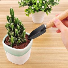Bộ Cuốc Xẻng Làm Vườn Mini 3 Món - Dụng Cụ Vườn Đẹp, Chất Lượng Cao, Phù Hợp Cho Người Yêu Thích Làm Vườn