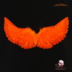 Cánh Thiên Thần Cosplay Lông Vũ - Phụ Kiện Thời Trang Tiệc Tùng Cho Người Lớn Và Trẻ Em - Cánh Tiên Độc Đáo Hấp Dẫn