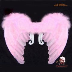 Cánh Thiên Thần Hóa Trang Lễ Hội Halloween - Cánh Lông Vũ Độc Đáo Cho Nam Nữ - Trang Phục Tiệc Tùng Kỳ Lạ