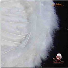 Cánh Thiên Thần Hóa Trang Lễ Hội Halloween - Cánh Lông Vũ Độc Đáo Cho Nam Nữ - Trang Phục Tiệc Tùng Kỳ Lạ