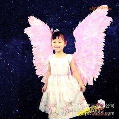 Bộ Phụ Kiện Hóa Trang Thiên Thần - Đôi Cánh Xinh Đẹp, Băng Đô và Đũa Tiên Cho Trẻ Em và Người Lớn - Màu Trắng, Đen, Hồng