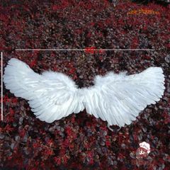 Cánh Lông Thiên Thần Amarniya Dây Thun Co Giãn Màu Sáng - Phụ Kiện Hóa Trang Rực Rỡ cho Cosplay và Halloween
