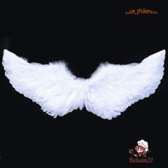 Cánh Thiên Thần Cosplay Trắng/Đen/Đỏ - Phụ Kiện Hóa Trang Halloween Cho Trẻ Em và Người Lớn, Tiệc Tùng, Lễ Hội