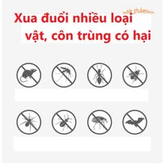 Máy Đuổi Côn Trùng Pest Reject - An Toàn, Không Độc Hại, Sử Dụng Sóng Siêu Âm, Hiệu Quả Đuổi Muỗi, Chuột, Gián Trong Nhà.