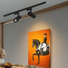 Đèn LED Ray Rọi 20W COB - Ánh Sáng Trắng, Vàng, Trung Tính - Thiết Kế Đen Thời Trang Cho Showroom, Cửa Hàng, Nhà Hàng