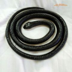 Con Rắn Giả Cao Su 120CM - Đồ Chơi Troll Hù Dọa, Quà Tặng Vui Nhộn Cho Trẻ Em và Tình Yêu Thú Cưng