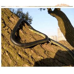 Con Rắn Giả Cao Su 120CM - Đồ Chơi Troll Hù Dọa, Quà Tặng Vui Nhộn Cho Trẻ Em và Tình Yêu Thú Cưng
