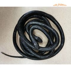 Con Rắn Giả Cao Su 120CM - Đồ Chơi Troll Hù Dọa, Quà Tặng Vui Nhộn Cho Trẻ Em và Tình Yêu Thú Cưng