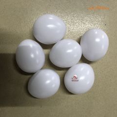 Bộ 10 Quả Trứng Gà Giả Màu Trắng Nhựa - Dụng Cụ Dạy Nghệ Thuật và Mô Hình Chuồng Ấp Cho Trẻ Em