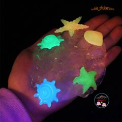 Slime SAO ỐC ĐÁ SÒ BIỂN ĐẠI DƯƠNG 200ML - Đồ Chơi Nhờn Dạ Quang Nhiều Màu Sắc, Tạo Cảm Giác Thư Giãn Cho Trẻ Em