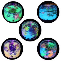 Slime SAO ỐC ĐÁ SÒ BIỂN ĐẠI DƯƠNG 200ML - Đồ Chơi Nhờn Dạ Quang Nhiều Màu Sắc, Tạo Cảm Giác Thư Giãn Cho Trẻ Em