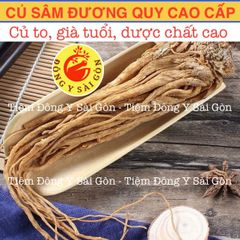 Sâm Đương Quy Củ 100g - Sâm Râu Tươi Nguyên Chất, Hỗ trợ Tiêu Hóa, Cải Thiện Kinh Nguyệt, Sức Khỏe Phụ Nữ