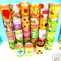 Hộp Hạt Giống Đậu Độc Đáo - Khám Phá Cây Trồng Tại Nhà với 50 Hạt Giống và Hướng Dẫn Chi Tiết