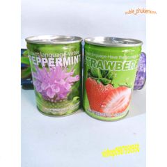 Hộp Hạt Giống Đậu Độc Đáo - Khám Phá Cây Trồng Tại Nhà với 50 Hạt Giống và Hướng Dẫn Chi Tiết