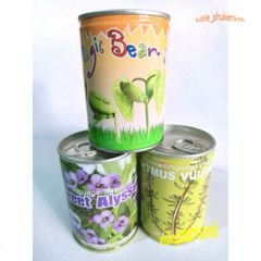 Hộp Hạt Giống Đậu Độc Đáo - Khám Phá Cây Trồng Tại Nhà với 50 Hạt Giống và Hướng Dẫn Chi Tiết
