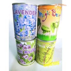 Hộp Hạt Giống Đậu Độc Đáo - Khám Phá Cây Trồng Tại Nhà với 50 Hạt Giống và Hướng Dẫn Chi Tiết