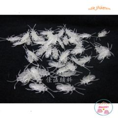 Mô Hình Gián Đồ Chơi Cho Chó Mèo - Dạ Quang, Nâu, Vàng, Đen - Giá Chỉ 1K, Trò Chơi Vui Nhộn Cho Thú Cưng, Phụ Kiện Halloween