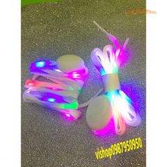 Bộ 2 Dây Giày LED Phát Sáng Độc Đáo Cho Trẻ Em & Người Lớn - Dây Giày Dạ Quang Tăng Cường Phong Cách Thời Trang