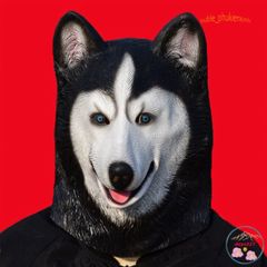 Mặt Nạ Hóa Trang Chó Husky 3D - Đạo Cụ Halloween Vui Nhộn, Thích Hợp Quay Video TikTok, Douyin và Tiệc Hóa Trang