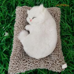 Chó Nâu Thú Bông Than Hoạt Tính 99% Giống Thật - Khử Mùi, Lọc Không Khí, Trang Trí Xe Hơi, Bàn Làm Việc Dễ Thương