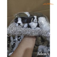 Gấu Đôi Gấu Trúc Lõi Than Hoạt Tính Khử Mùi và Lọc Không Khí Cho Ô Tô - Đồ Trang Trí Dễ Thương Cho Xe Hơi, Giúp Không Gian Trong Sạch Sẽ