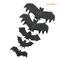 Dơi Trang Trí Halloween Màu Đen - Độc Đáo và Ấn Tượng Dễ Dàng Sử Dụng Cho Tiệc Hóa Trang Và Sự Kiện Ma Quái