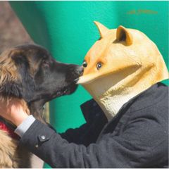 Mặt Nạ Hóa Trang Con Chim Xanh Dành Cho Chó Shiba, Husky - Halloween, TikTok, YouTube - Độc Đáo, Nổi Bật, An Toàn