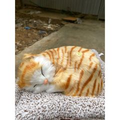 Thú Bông Mèo Vằn Vàng Than Hoạt Tính - Đồ Trang Trí Ô Tô An Toàn, Lọc Không Khí, Khử Mùi Hiệu Quả cho Chó Mèo