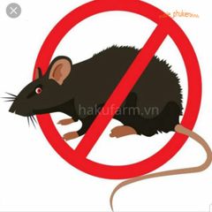 Máy Đuổi Côn Trùng PEST REJECT Sóng Siêu Âm An Toàn - Giải Pháp Hiện Đại Cho Ngôi Nhà Sạch Sẽ và Bảo Vệ Gia Đình