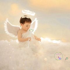 Cánh Lông Vũ Thiên Thần Cosplay - Đạo Cụ Halloween Độc Đáo, Phụ Kiện Nghệ Thuật & Chụp Ảnh, Nhiều Kích Cỡ Khác Nhau