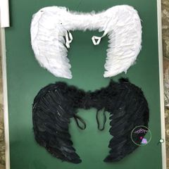 Set Cánh Thiên Thần Và Ác Quỷ Lông Vũ 60x40cm - Trang Phục Halloween Cosplay Cho Trẻ Em - Hàng Thiên Nhiên Thân Thiện Với Môi Trường