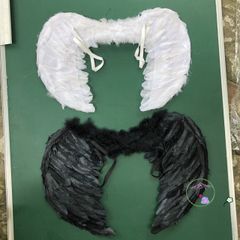 Set Cánh Thiên Thần Và Ác Quỷ Lông Vũ 60x40cm - Trang Phục Halloween Cosplay Cho Trẻ Em - Hàng Thiên Nhiên Thân Thiện Với Môi Trường