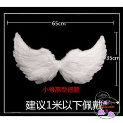 Cánh Thiên Thần Trắng Cosplay Chất Liệu Lông Vũ Cho Trẻ Em Và Người Lớn - Đồ Hóa Trang Tiệc Tùng, Lễ Hội, Chụp Ảnh