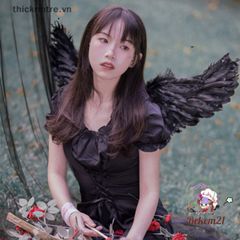 Đôi Cánh Thiên Thần Lông Vũ Đen Trắng - Phụ Kiện Thời Trang Cánh Ác Quỷ Độc Đáo Cho Dịp Halloween