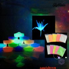Bột Dạ Quang 10gr - Hạt Dạ Quang Trang Trí Tiểu Cảnh, Terrarium, DIY Tỏa Sáng Trong Bóng Tối, Phát Sáng 2-3 Giờ