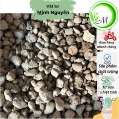 Đá Pumice Cao Cấp 1kg - Vật Liệu Tối Ưu Cho Cây Sen Đá, Lọc Bể Cá & Trồng Lan, Xương Rồng