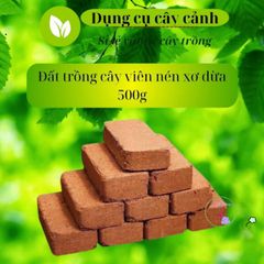 Viên Đất Trồng Cây Nén Sơ Dừa Hữu Cơ - Dinh Dưỡng Tốt Cho Rau, Lan & Cây Kiểng, Tiện Lợi Ngâm Nở Gấp 5 Lần