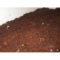 Đất trồng Thủy Cam 1kg - Phối trộn xơ dừa và dinh dưỡng nuôi trùn quế cho cây xanh tốt, không cần phân bón hóa học