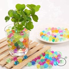 Hạt Tinh Thể Thủy Sinh Nở 10g - Giải Pháp Trang Trí Cây Cảnh Nhiều Màu Sắc - Tăng Cường Phát Triển Sinh Trưởng Cây Trồng